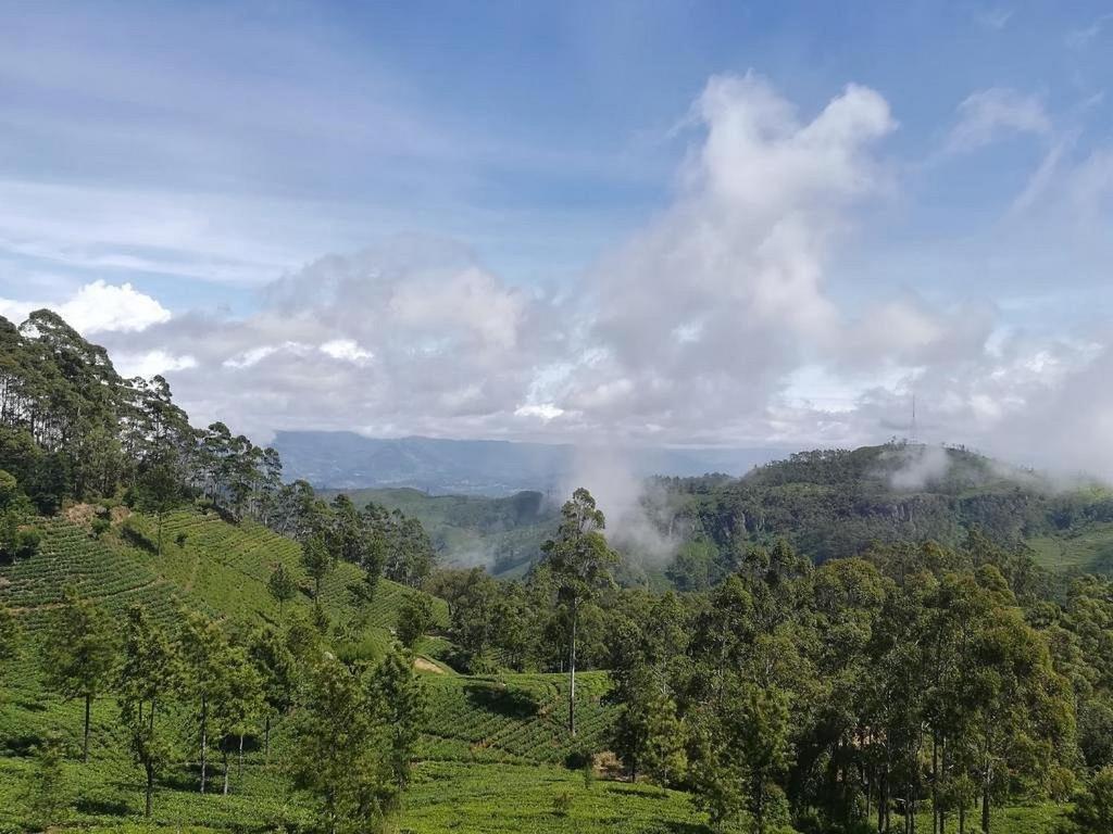 فندق Ella Zenith View المظهر الخارجي الصورة