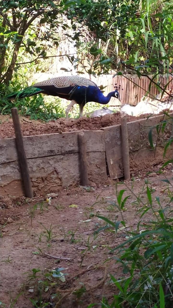فندق Ella Zenith View المظهر الخارجي الصورة